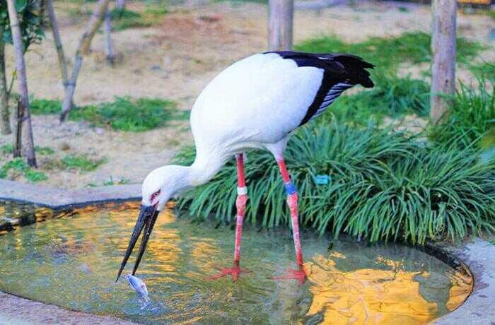 130種を超える動物が暮らす動物園