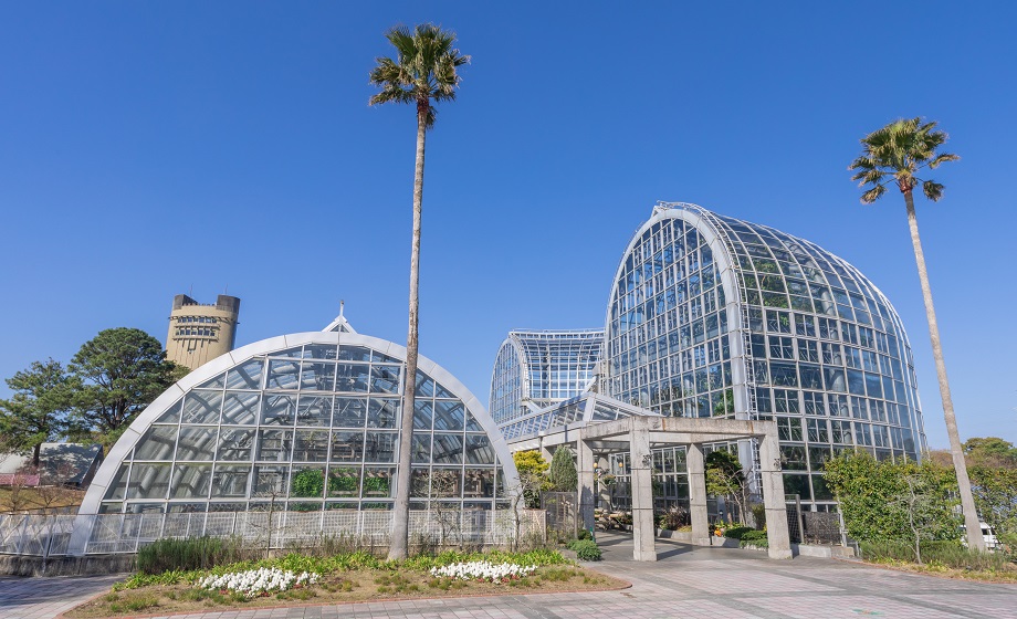 植物園のシンボル温室