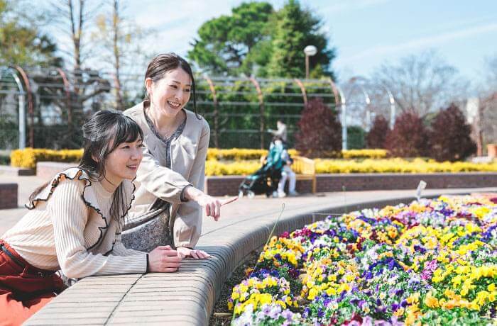 四季の変化を楽しむ屋外植物園