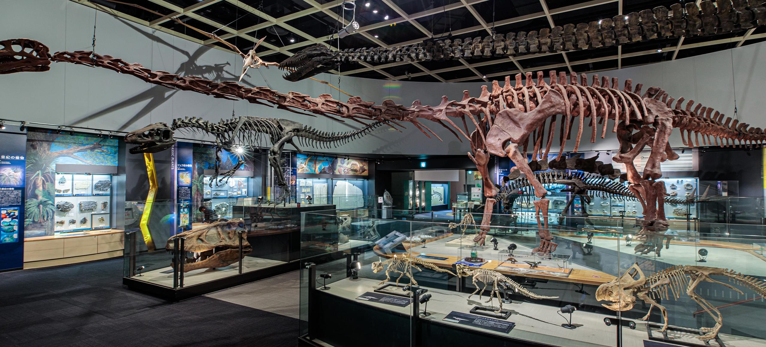 のんほいパーク 化石や恐竜などを見られる自然史博物館！
