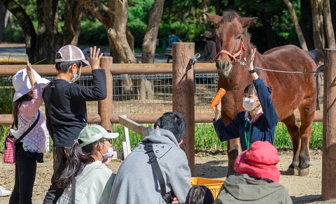 ウマのなかよし教室