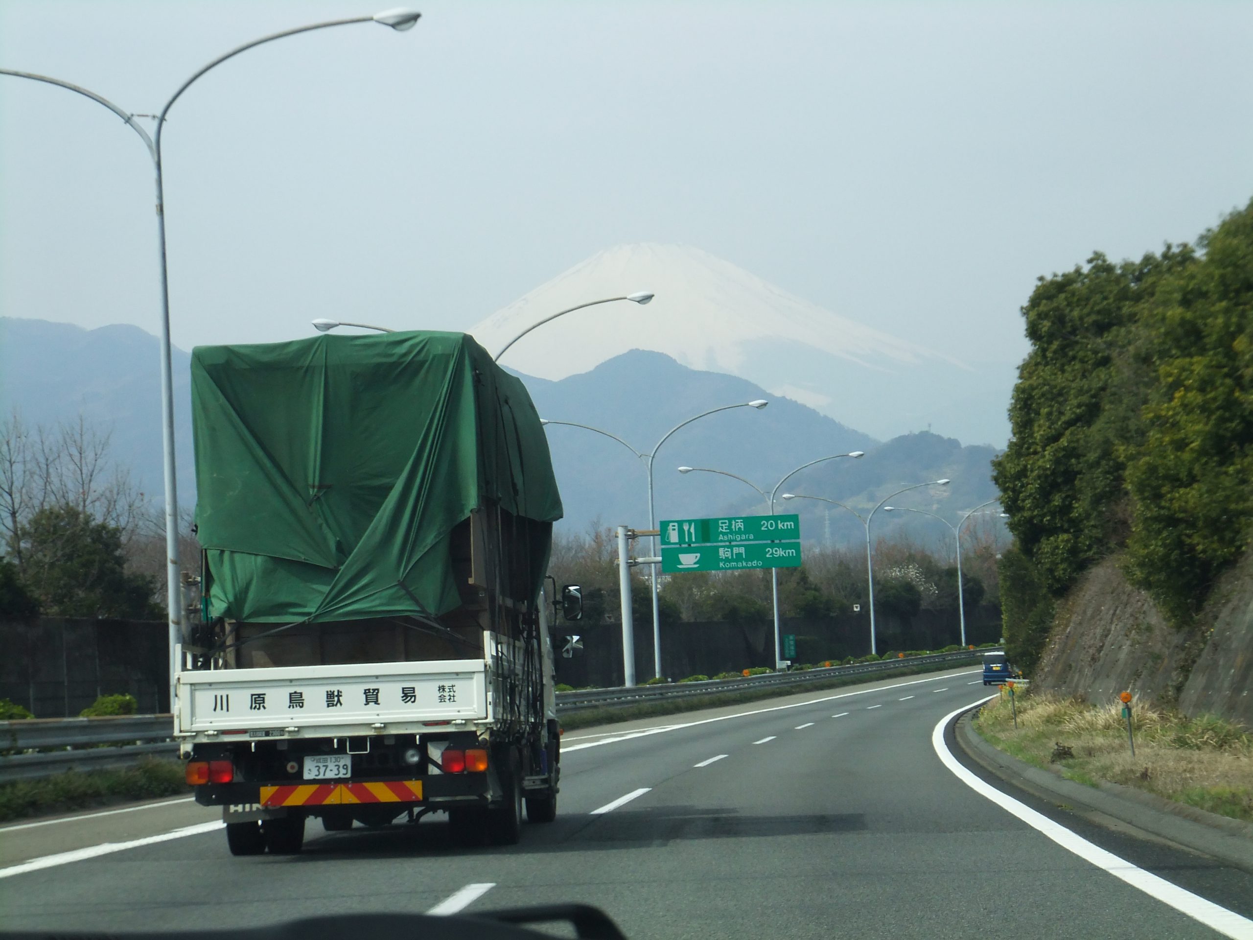 ２頭になりました。