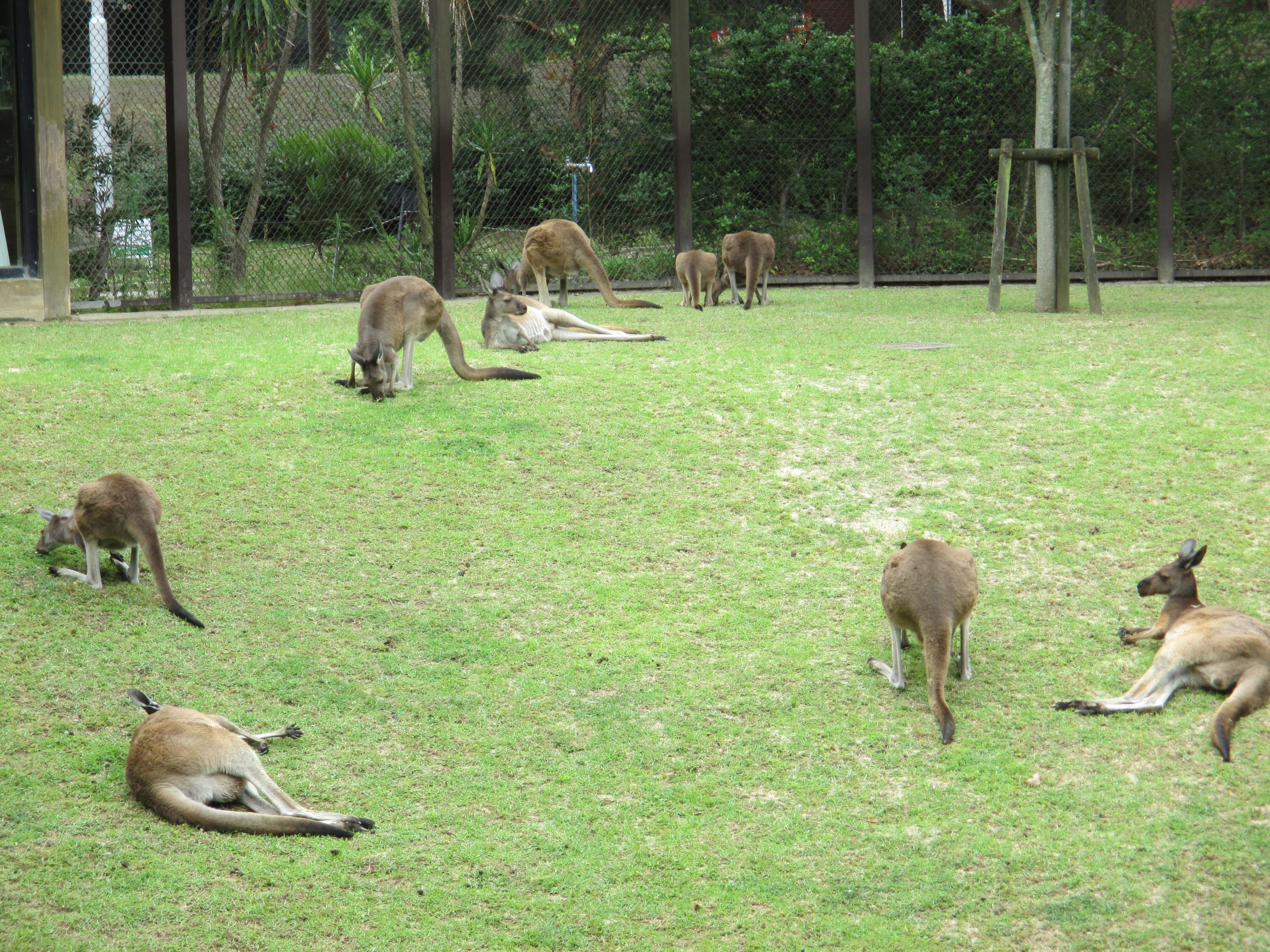 オーストラリア園。