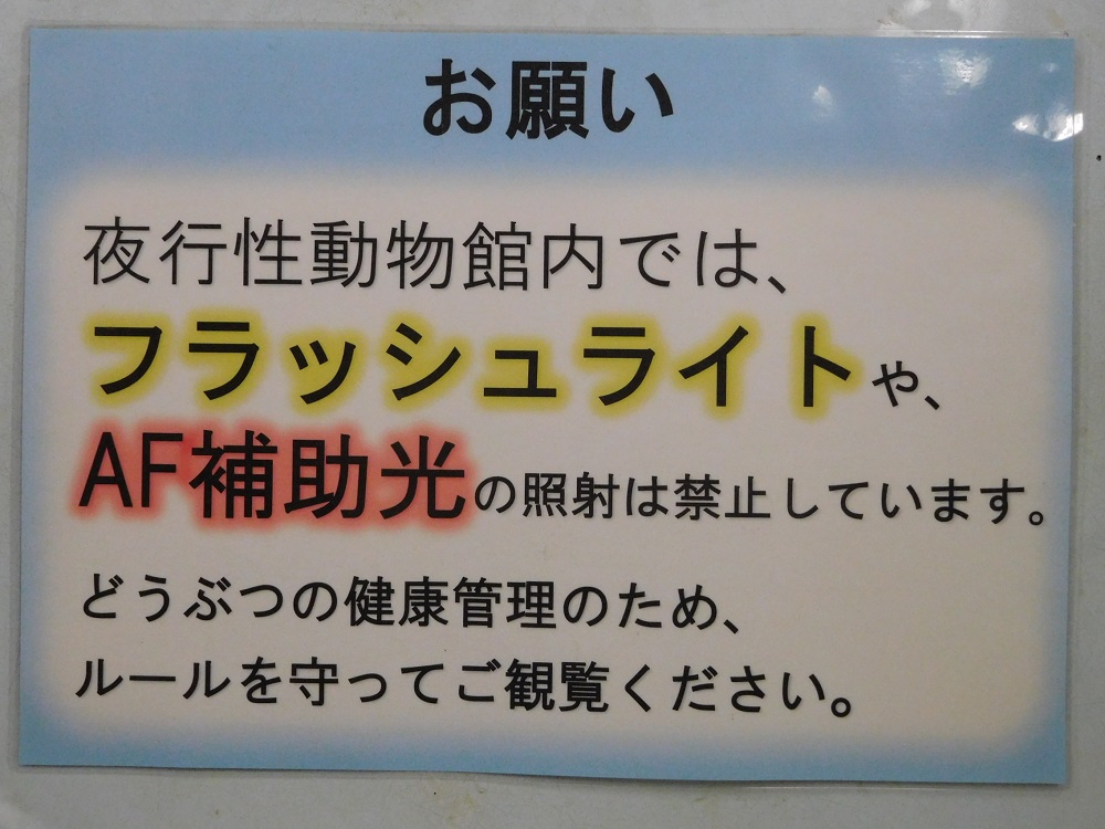 公園長ブログ「スナフキンが、のんほいの看板見たら・・・」