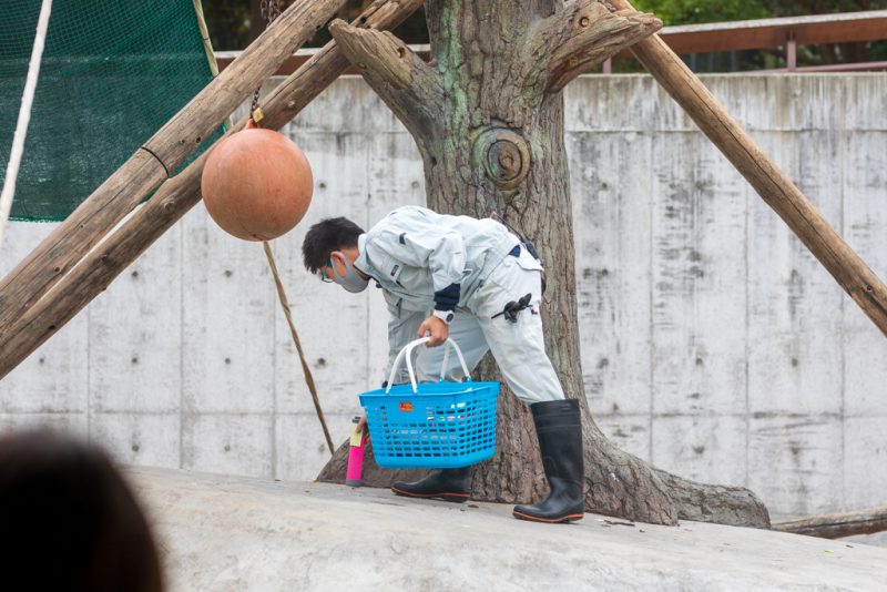 ニホンザルのフィーダーを設置