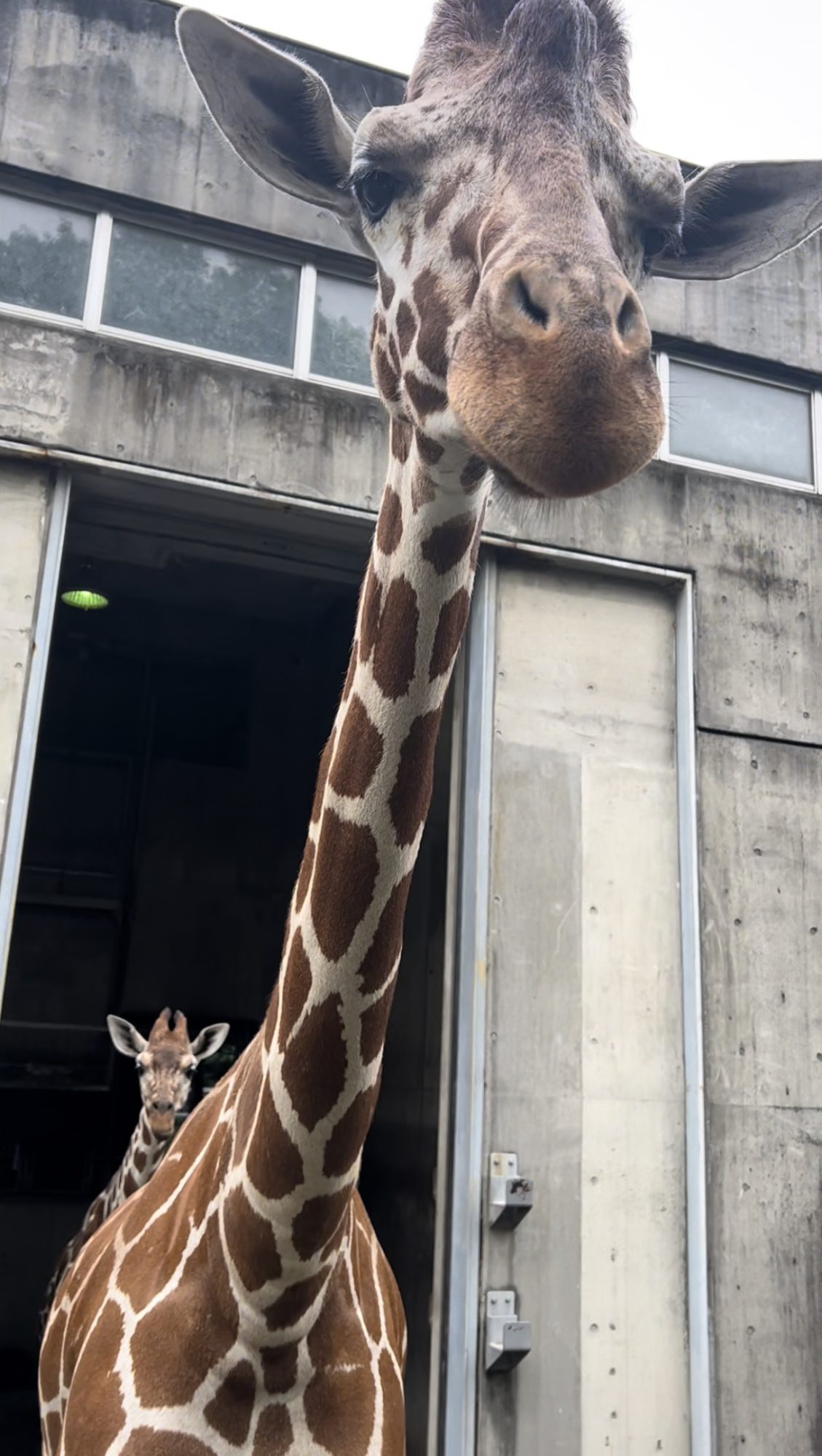 3歩進んで2歩さがる、いや3歩かも。