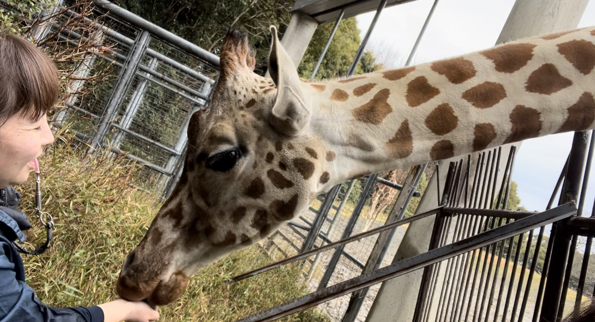 ユララとの確実なる1歩