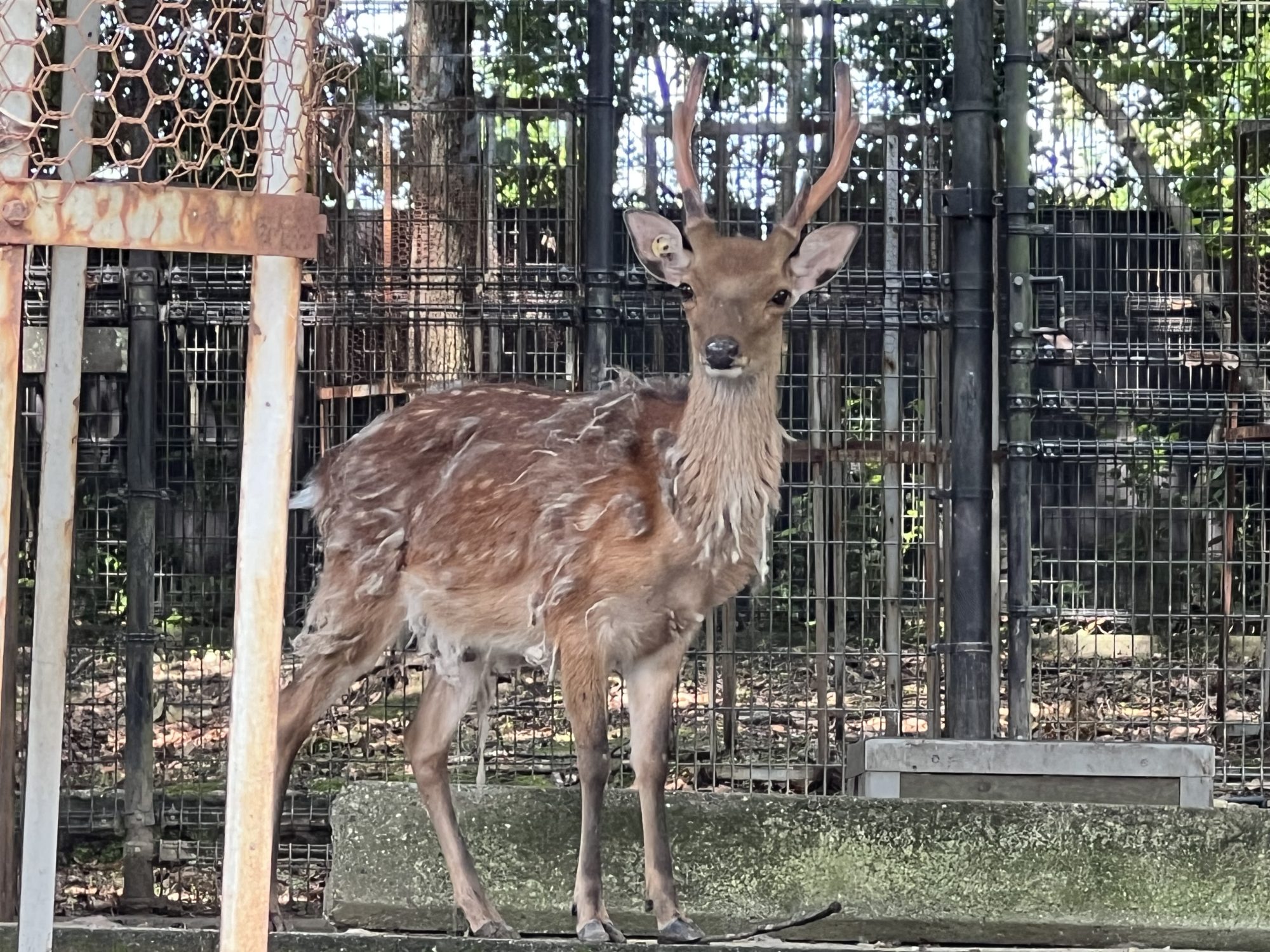 季節の変わり目