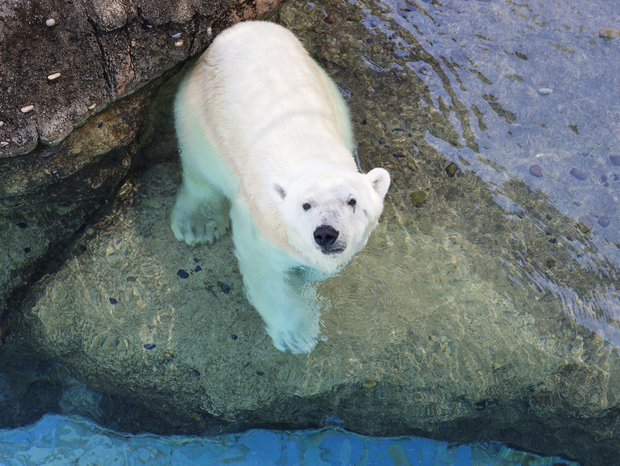 歳にも負けず・・・