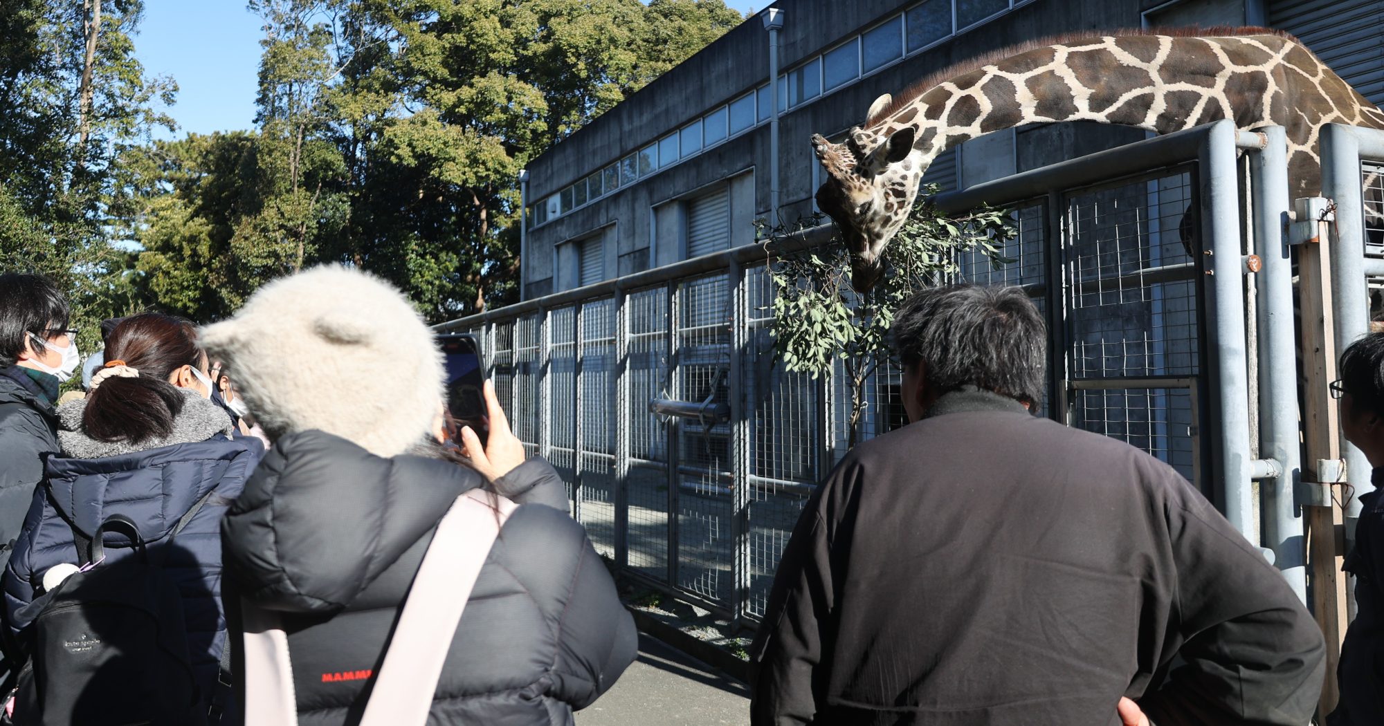 お正月イベント