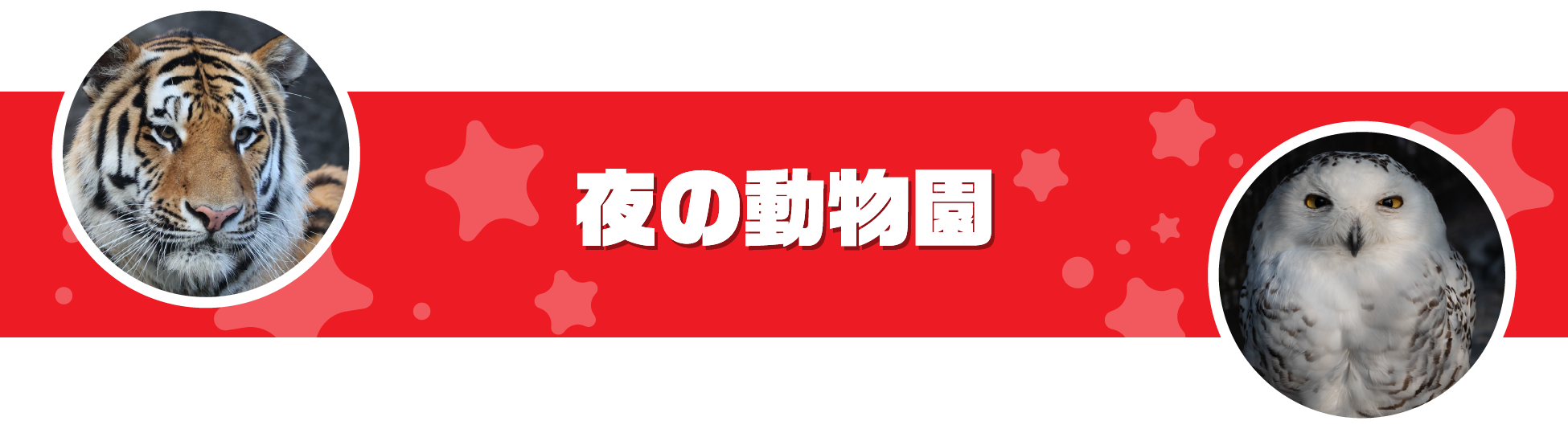 ナイトズー(ZOO)のんほいパーク豊橋 夜の動物園