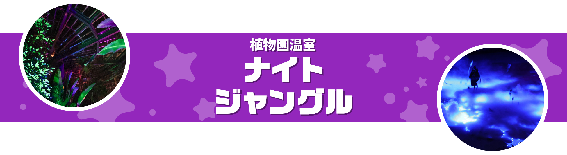 ナイトズー(ZOO)のんほいパーク豊橋 ナイトジャングル