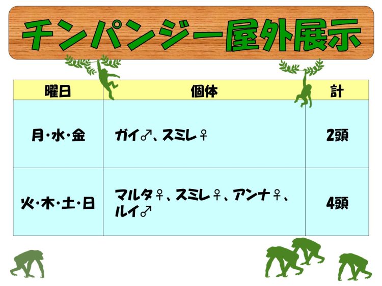 屋外展示