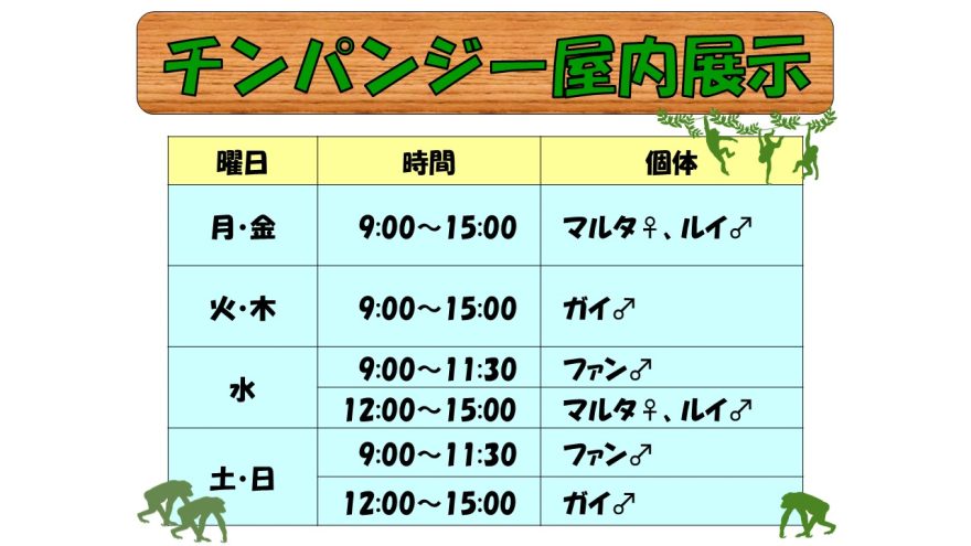 屋内展示