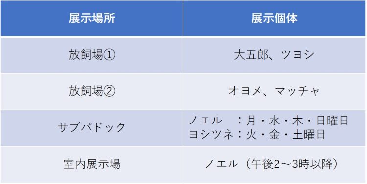 マンドリル展示スケジュール